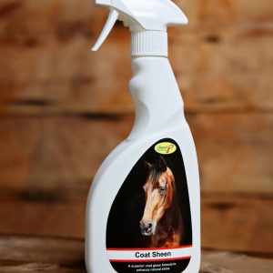 Coat Sheen