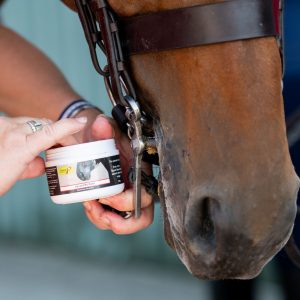 Lip and Bit Balm 120g