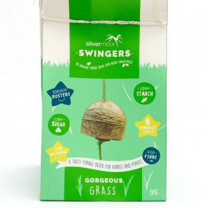 Silvermoor Swingers