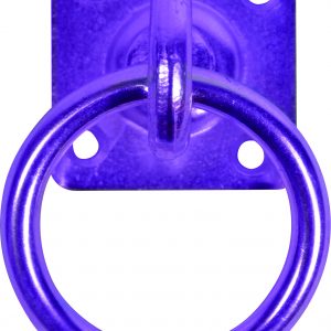Perry Equestrian Swivel Tie Ring on Plate