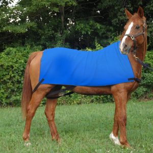 Equi Cool Down