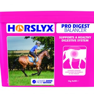 Horslyx Pro Digest Balancer