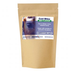 Cool Bites