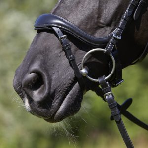 Kieffer Viola Snaffle Bridle