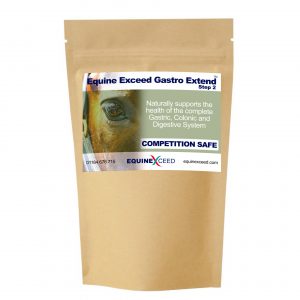 Equine Exceed Gastro - Step 2