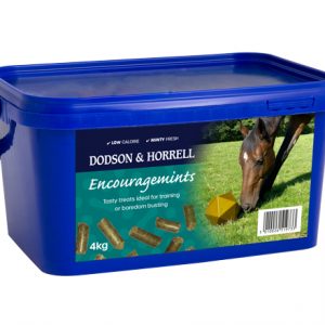 D&H Encouragemints