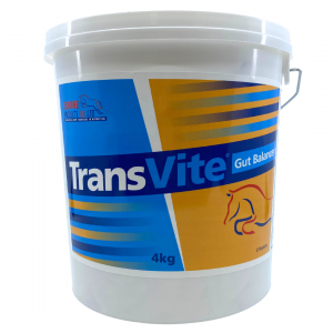 Transvite Gut Balancer
