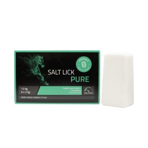 Equisalt Salt Brick Lick