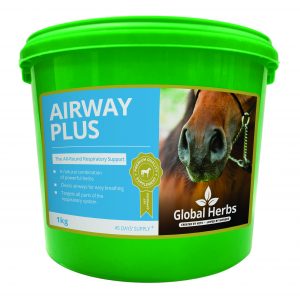 Global Herbs Airway Plus Powder