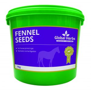 Global Herbs Fennel Seeds