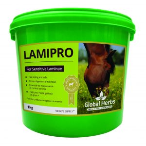 Global Herbs LamiPro Powder