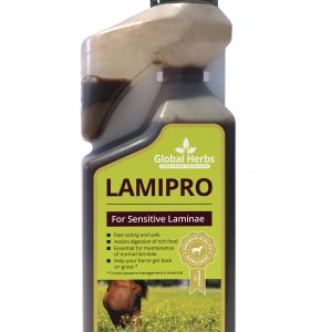 Global Herbs LamiPro Liquid