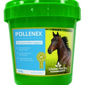 Global Herbs PolleneX