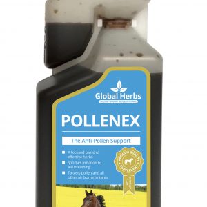 Global Herbs PolleneX Liquid