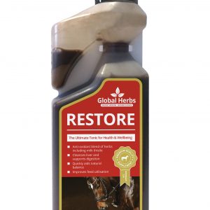 Global Herbs Restore Liquid