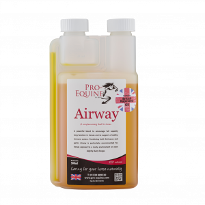 Pro-Equine Airway