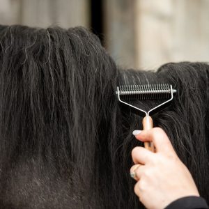 Smart Manes