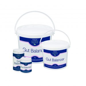 Protexin Gut Balancer