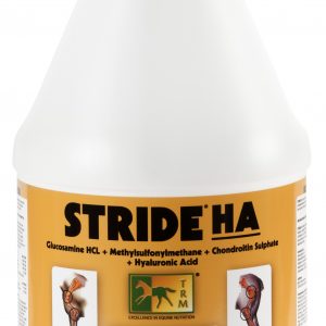 Stride HA Solution