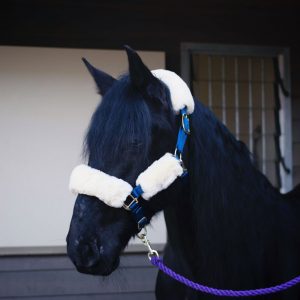 Lambswool Headstall Set